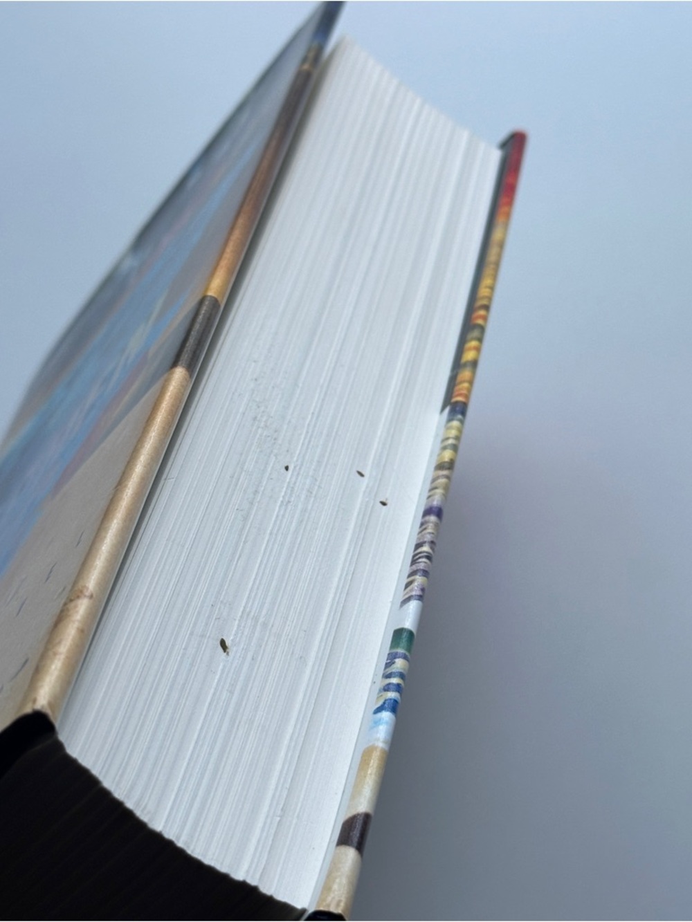 Duma Key by Stephen King | Fiction, Horror | Hardcover Book - Picture 6 of 13